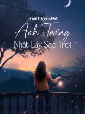 Ảnh bìa của Ánh Trăng Nhặt Lấy Sao Trời