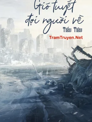 Ảnh bìa của Gió Tuyết Đợi Người Về – Tiểu Tiêu