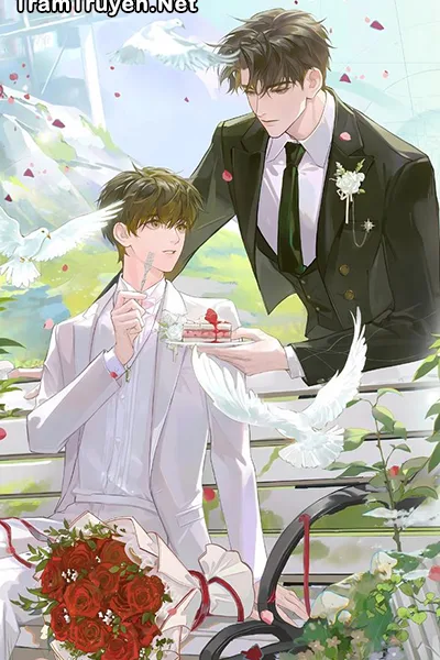 Ảnh bìa của Sao Cậu Vẫn Chưa Thích Tôi