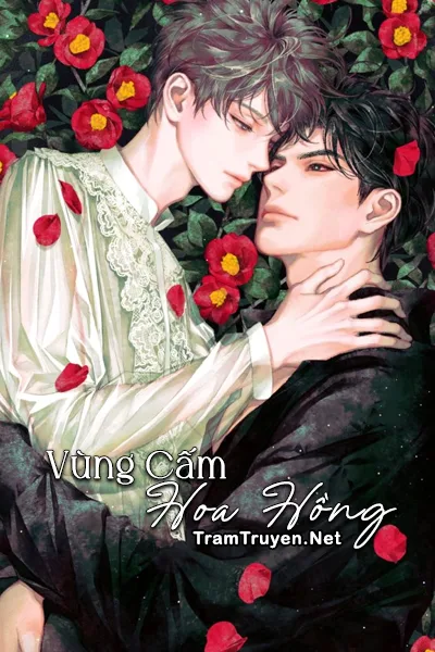 Ảnh bìa của Vùng Cấm Hoa Hồng – Thiên Phi