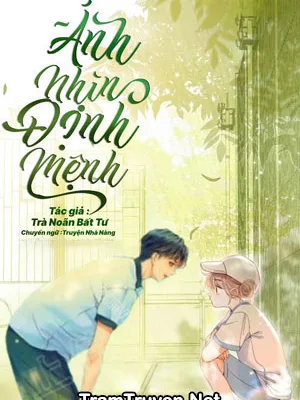 Ảnh bìa của Ánh Nhìn Định Mệnh – Trà Noãn Bất Tư