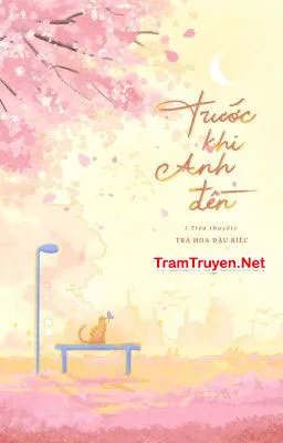 Ảnh bìa của Trước Khi Anh Đến