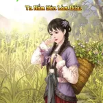 Xuyên Thành Nha Hoàn Của Nữ Chính Ta Nằm Yên Làm Giàu