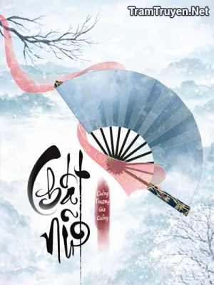 Ảnh bìa của Chất Nữ