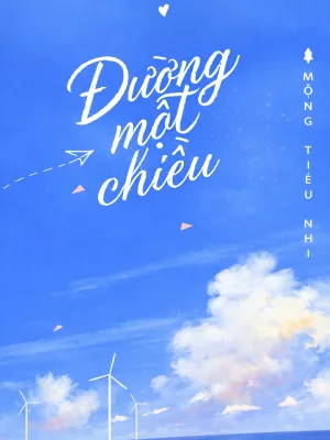Ảnh bìa của Đường Một Chiều – Kim Cương Quyển