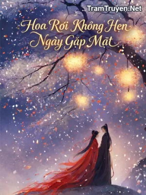 Ảnh bìa của Hoa Rơi Không Hẹn Ngày Gặp Mặt