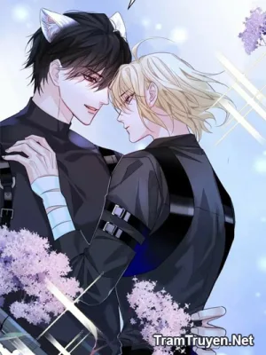 Ảnh bìa của Học Sinh Giỏi, Mèo Nhỏ Của Cậu Lại Làm Nũng Rồi!!!