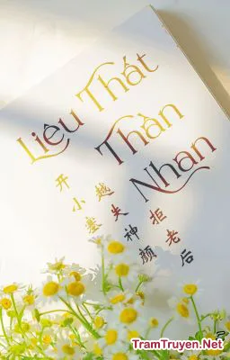 Ảnh bìa của Liêu Thất Thần Nhan – Khai Tiểu Sai